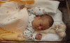 Baptistenaissance.gif (54941 octets)