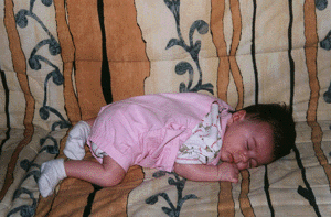 marinedodo.GIF (53586 octets)