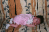 marinedodo.GIF (53586 octets)