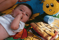 marinedos.GIF (31053 octets)